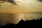 PARCO DFELL'ANTOLA E CAMOGLI - aprile 2011 - FOTOGALLERY